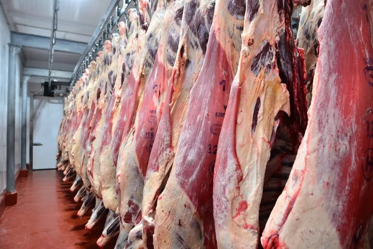 Cámara Paraguaya de Carnes mantiene esperanzas en posibilidad de veto a la resolución del Senado de EE.UU.