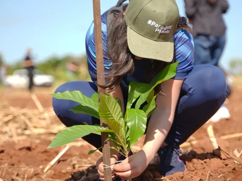 Plantan más de 3.000 nuevos árboles nativos en jornada “Paraguay Planta”