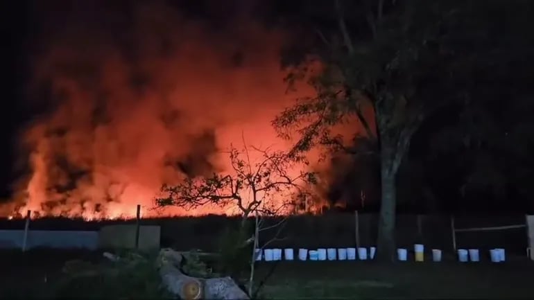 Video: incendio de pastizal amenaza refugio de animales en Escobar