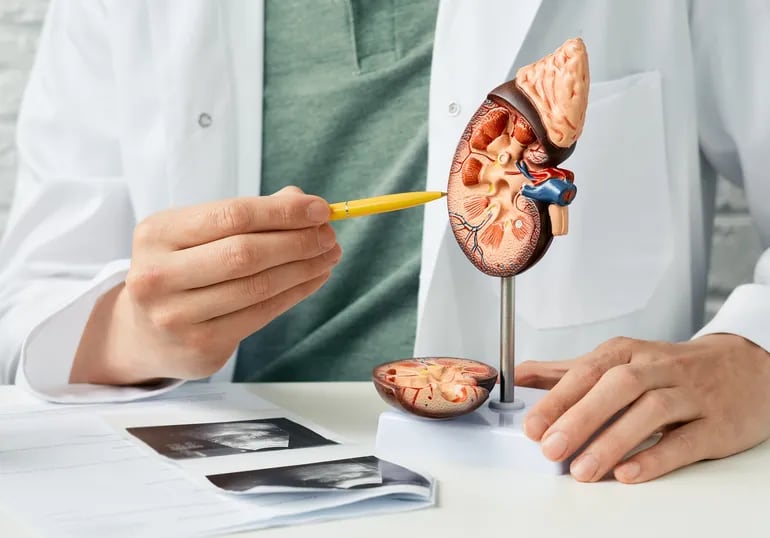 Enfermedad renal diabética comienza con una anemia