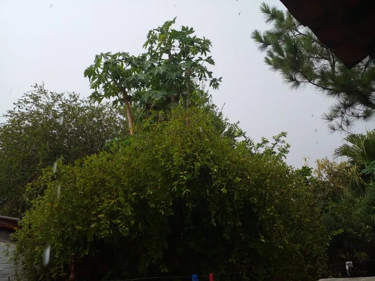 Lluvia también llega a San Pedro