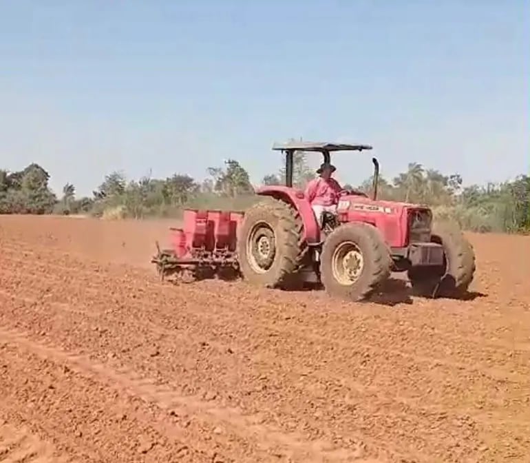 Producción de chía genera expectativa en Choré