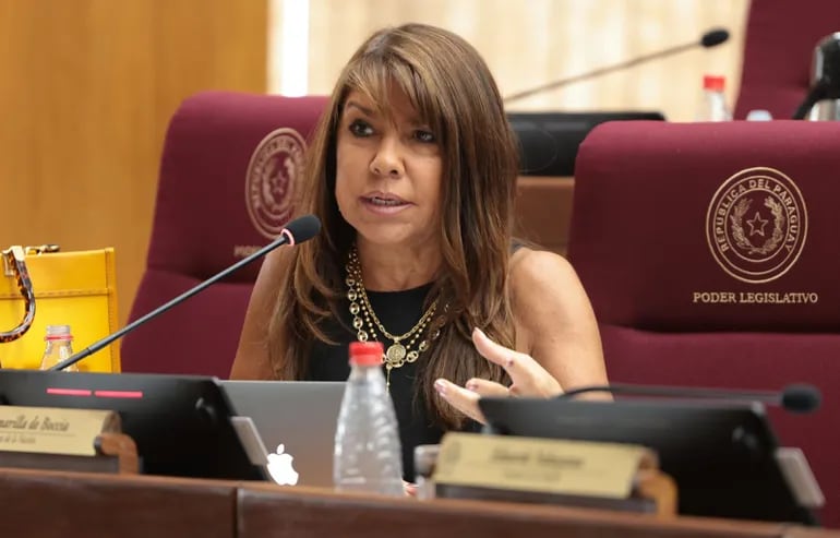 “Subyace el mal”, dice senadora sobre resolución para “devolver” fueros parlamentarios