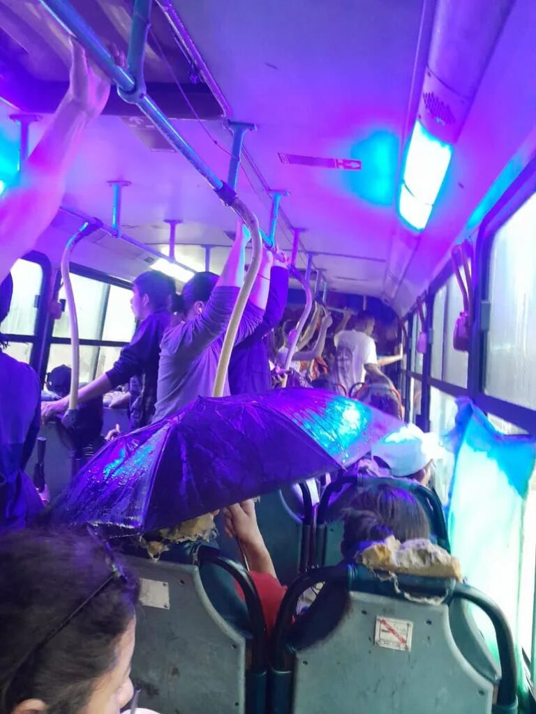 Transporte público deplorable: pasajeros se refugian bajo paraguas en colectivo