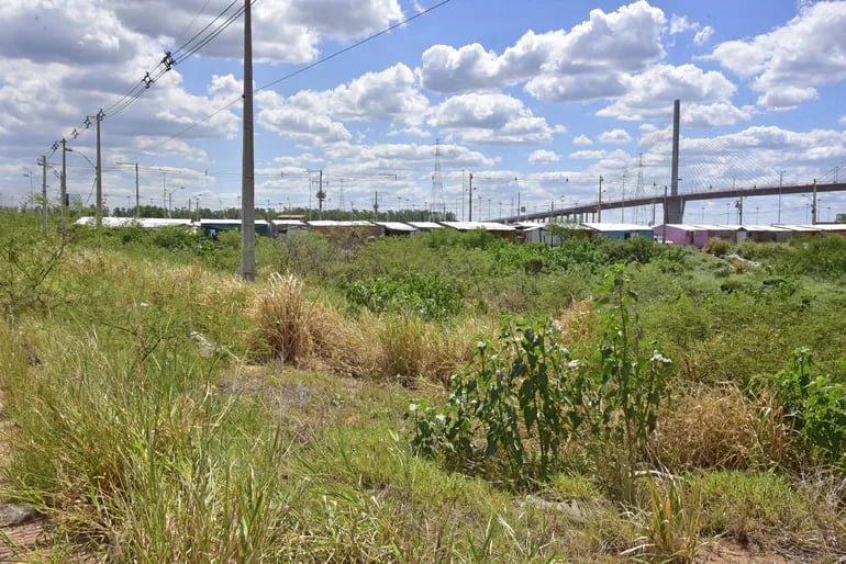 Venta de terrenos en costanera de Asunción: concejal insiste en que comuna presente un plan estratégico