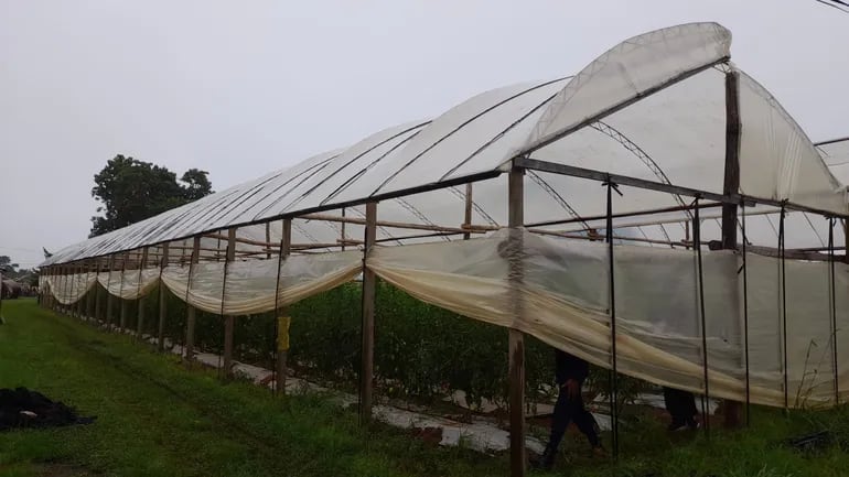 Santa Rosa, Misiones: le cayó un rayo mientras trabajaba en la huerta de su patrón y falleció