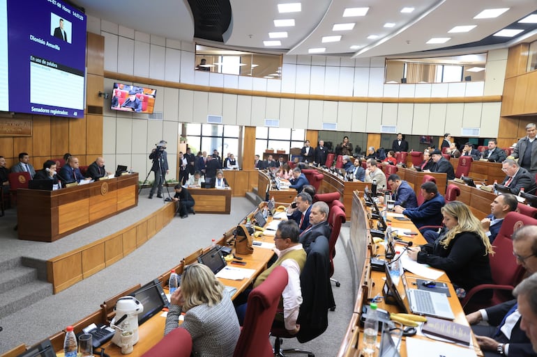 Cámara de Senadores sancionará hoy comisión “garrote” contra “enemigos” del cartismo