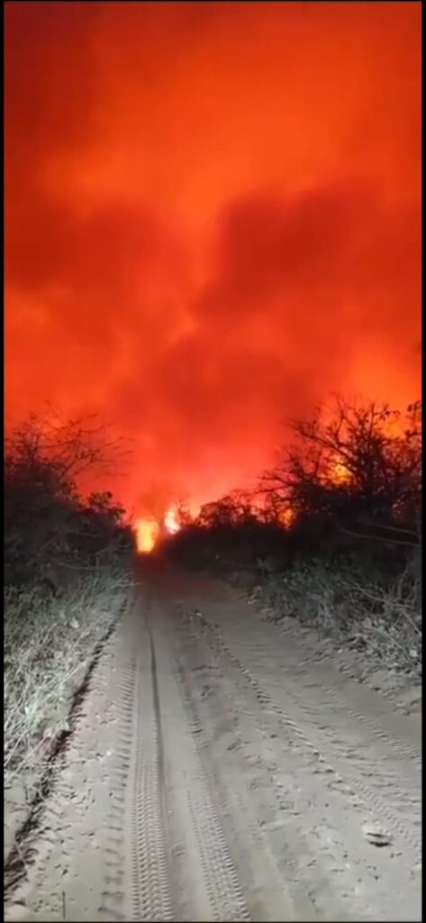 Verdadero infierno rojo en reserva natural Chovoreca en el Chaco