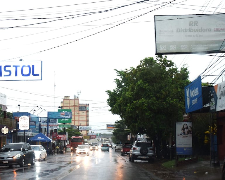 Copiosa lluvia favorece los cultivos y los campos naturales en los distritos de Paraguarí