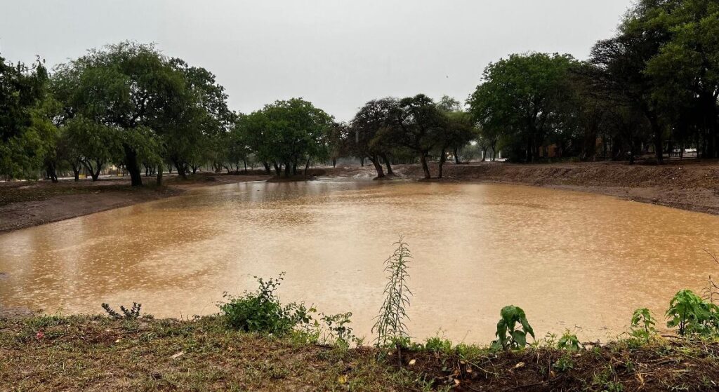 Mansa lluvia riega el Chaco central