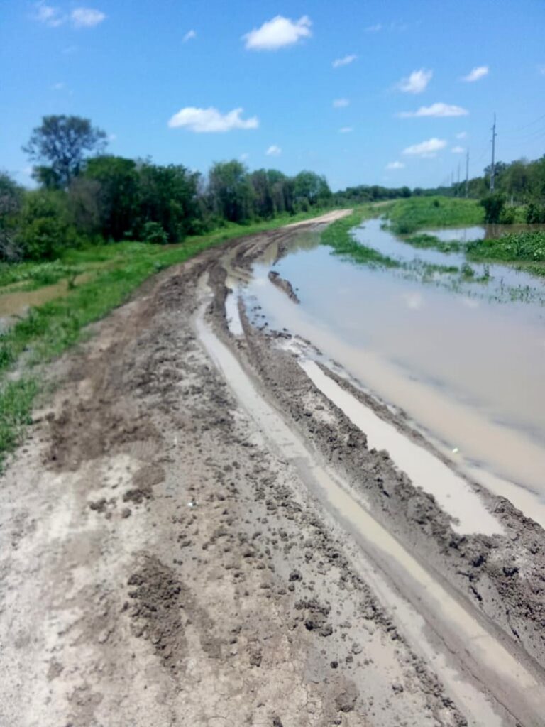 Poblaciones del Alto Paraguay bajo riesgo de quedar aisladas tras llegada de lluvias