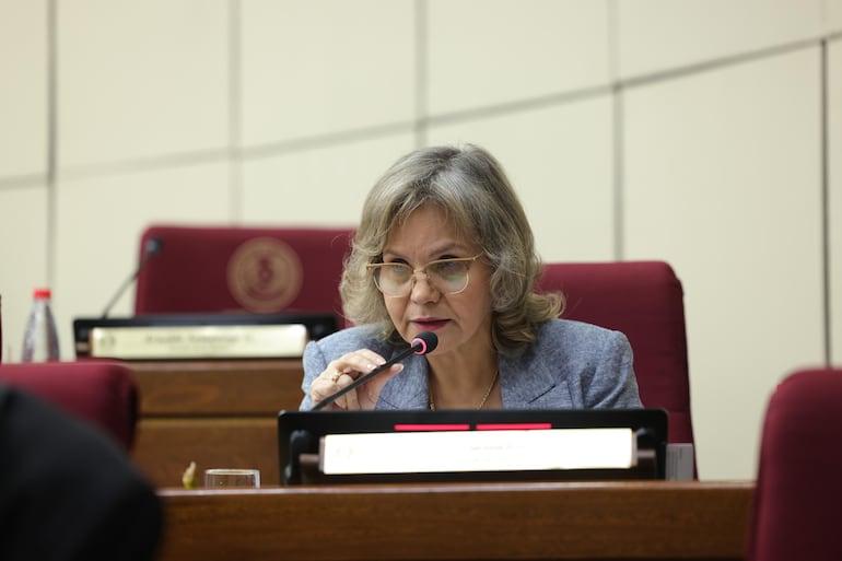 Disidentes de ANR buscan reconquistar el Senado, otrora bastión anticartista