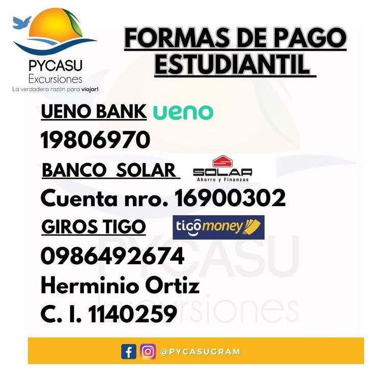 Estudiantes paraguayos quedan varados en Argentina por fallas en bus “chatarra”