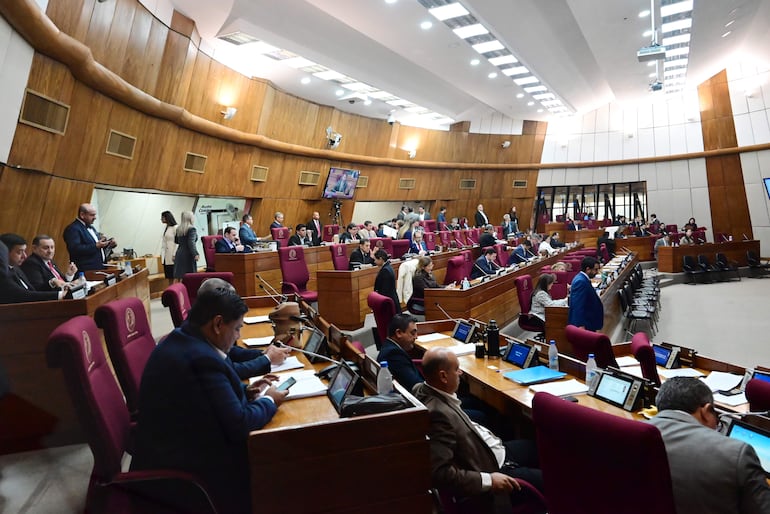 Intervenciones municipales: TSJE “preocupado” por plazos electorales si destituyen a intendentes