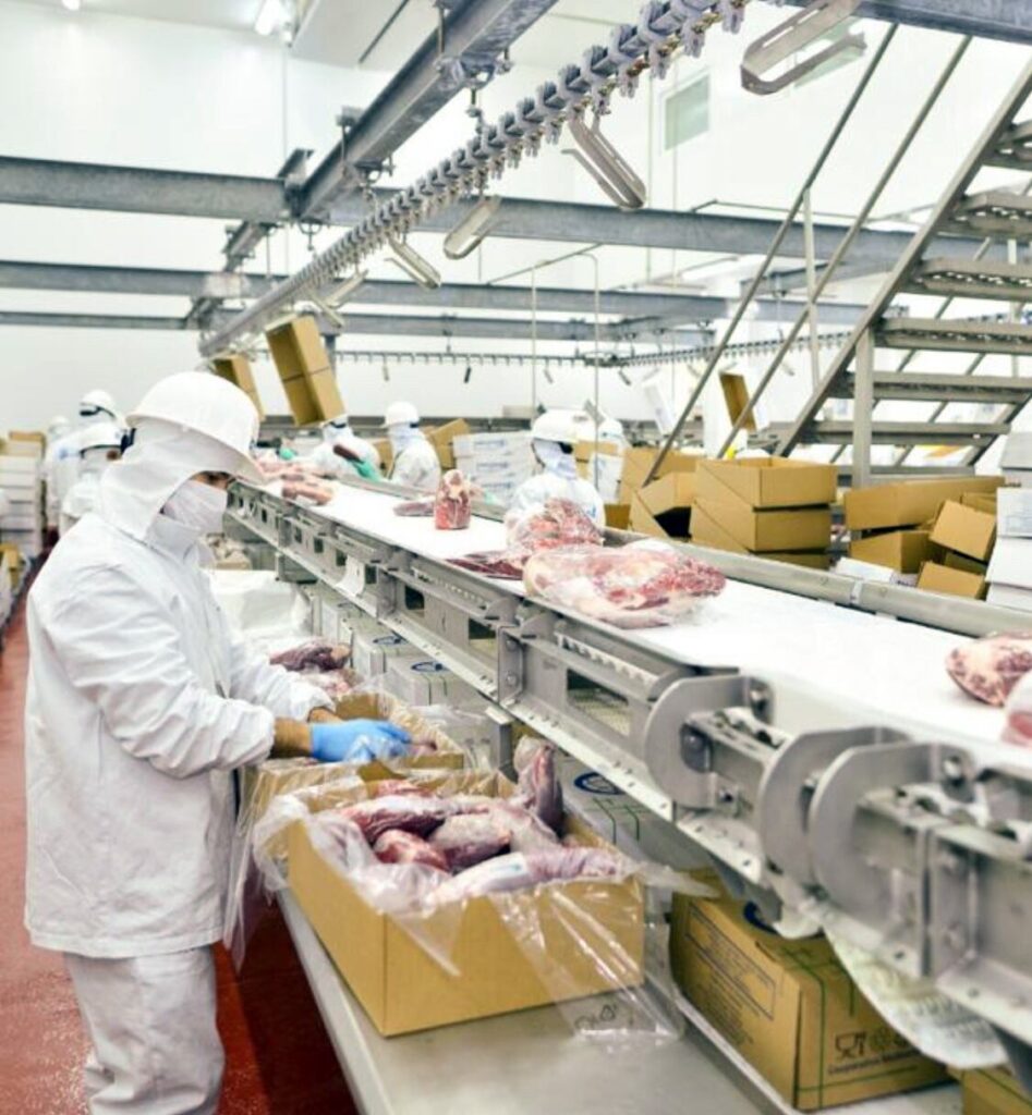 La faena de bovinos mantuvo su dinamismo al cierre de mayo