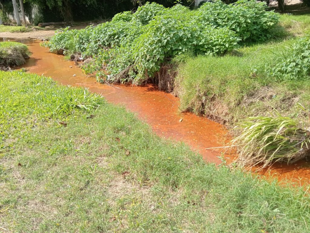 Confirman contaminación de arroyo en barrio Mburucuyá de Asunción