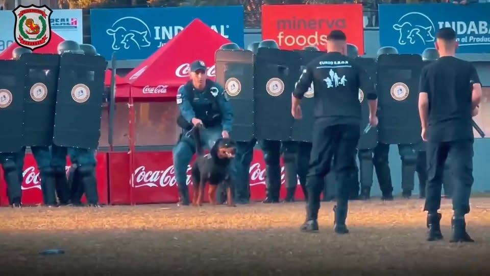Exhibición de destreza policial en la Expo 2025 hoy