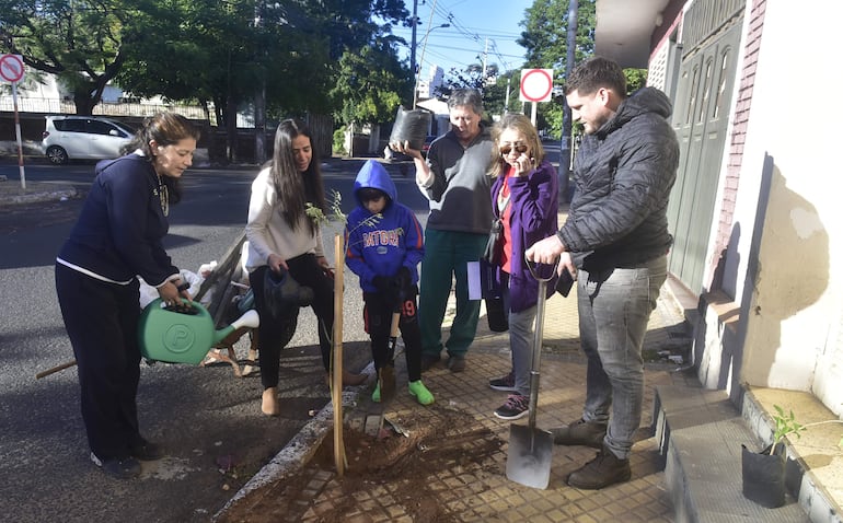 Por un barrio residencial más verde, plantaron 60 árboles en Las Mercedes