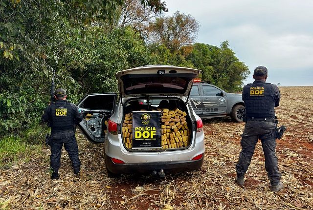 Após fuga em carro roubado, rapaz é preso com 900 quilos de drogas em Ponta Porã