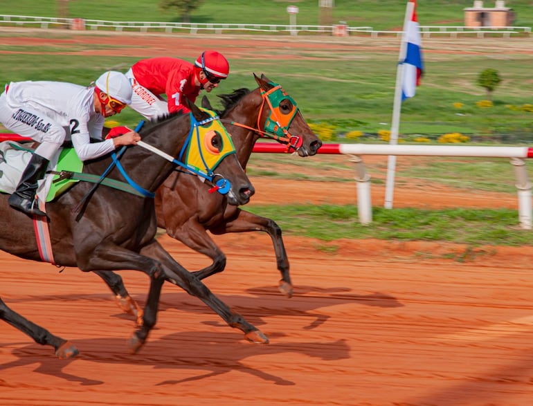 Cinco sueltas en el Jockey Club