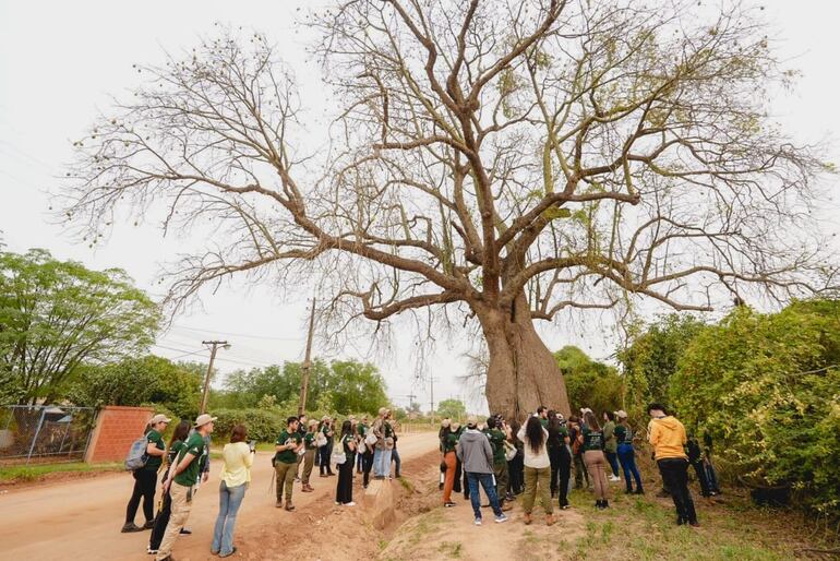 Colosos de la Tierra realizará mañana una “maratón” por su cierre de inscripciones