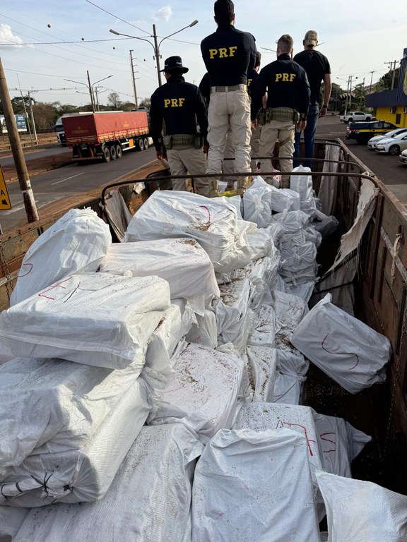 Motorista de Ponta Porã é preso com caminhão lotado de maconha